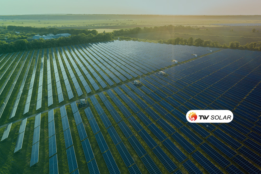 DPV Energy llega a un acuerdo con el fabricante Tongwei Solar para distribución de sus módulos fotovoltáicos en España y Portugal