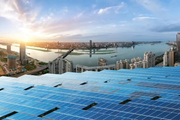 como ha llegado china a liderar la fabricacion de paneles solares
