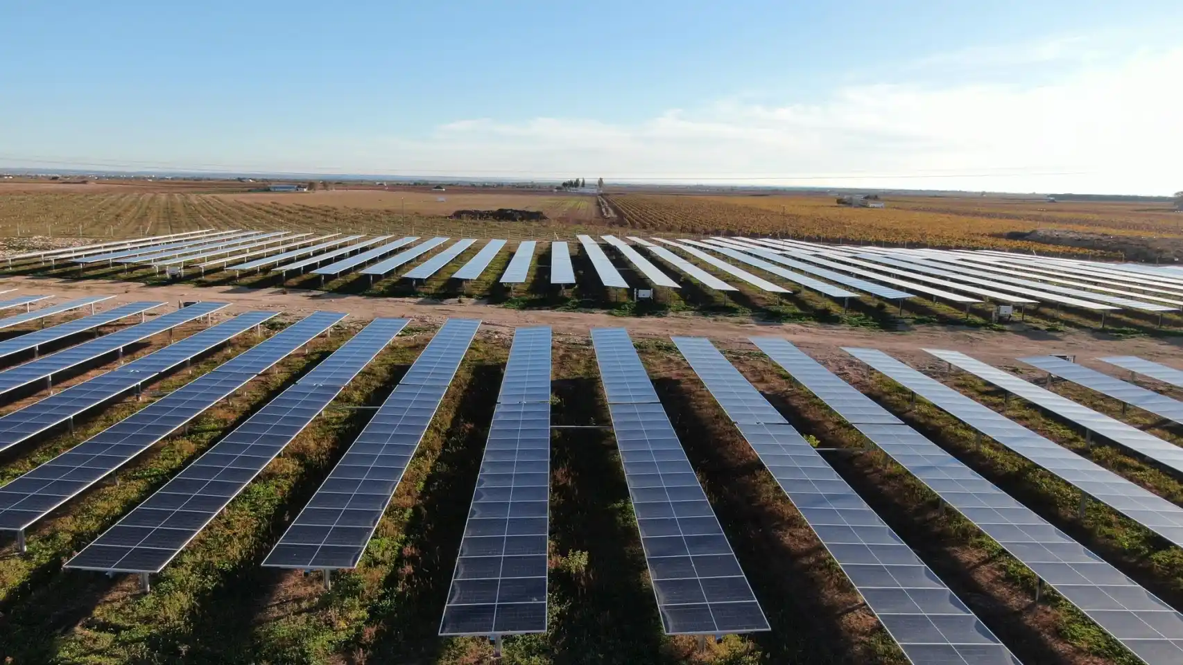 La energía fotovoltaica en auge: España conecta 1.250 MW fotovoltaicos en los primeros seis meses de 2024⁣