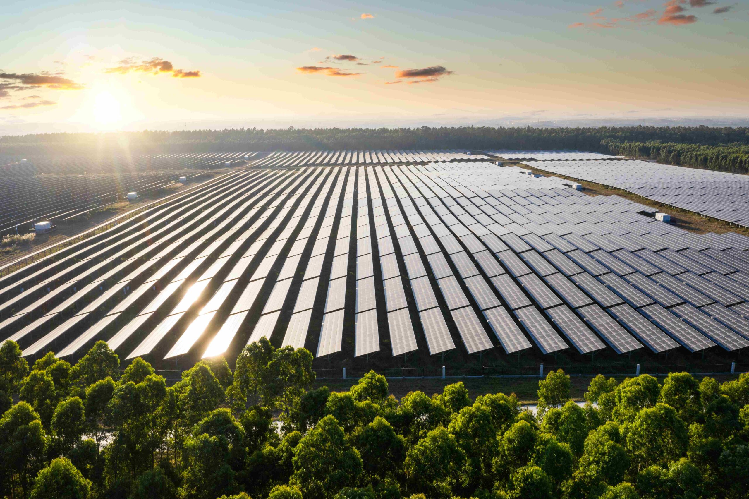 La fotovoltaica revoluciona el mercado energético de Rumanía con un incremento del 60%