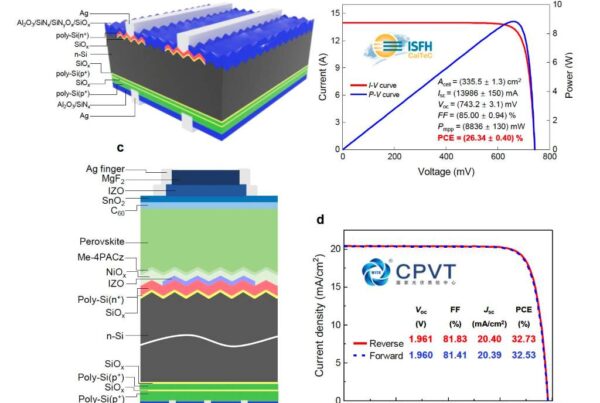 celulas solares bifaciales