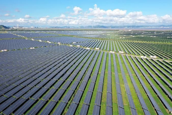 parque solar grande001