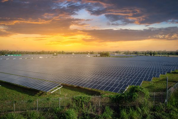 Solar panels golden hour