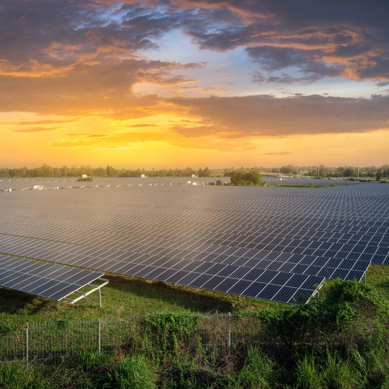 Solar panels golden hour